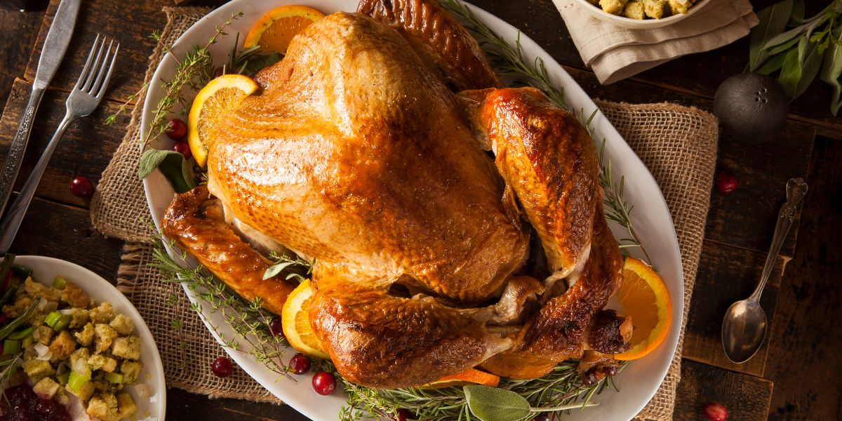 turkey for muscle gain